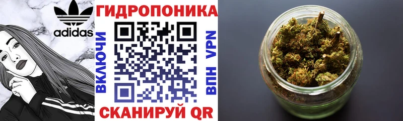 Купить закладку Невельск Бошки Шишки  Мефедрон  Alpha PVP  ГАШИШ  Кокаин 