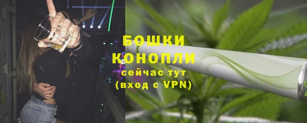 ПСИЛОЦИБИНОВЫЕ ГРИБЫ Богородск
