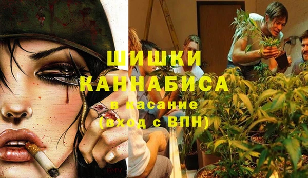 синтетический гашиш Богородицк
